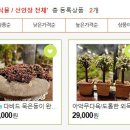 들꽃다육식물 이미지