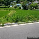 강화도통일공인중개사사무소 이미지