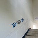 가야산기 | 전 쥐가 아니고 햄스텀다