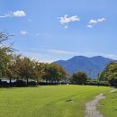 국화호수 이미지