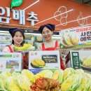 조공화원 이미지