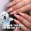 유화학교 | 천안 불당동 네일 유화 💖 전체 연장 네일 &amp; 힐링 마스코트 배추