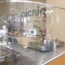 피크니크 이미지