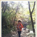 가야산공인중개사사무소 이미지