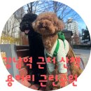 용허리근린공원 이미지