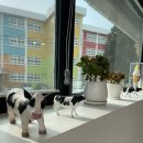 옥동목장 이미지