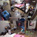 삼시세끼 이미지