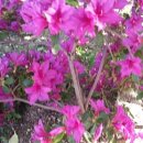 이순희농장 이미지