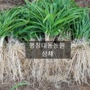 태동농장 이미지