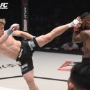 코리아타이거체육관 이미지