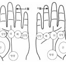 손바닥에서 본 간, 심장, 위, 폐, 신장의 위치와 치료(눌러서 아픈 부위를 따줘라) 이미지