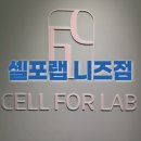 부천 신중동 셀포랩 니즈점 | 누워서 하는 체형관리 후기