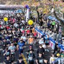 2024 대청호 벚꽃길 마라톤 대회 이미지