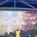 댄스콘서트 | 대전댄스보컬학원 │ 2025 콘서트 후기