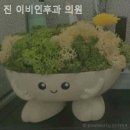 진이비인후과의원 이미지