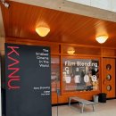 양 | 성수 소규모 영화관 무비랜드 <애프터 양> 후기