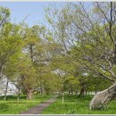 함평향교초등학교 이미지