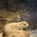 테이블에이 | 홍대 실내 동물원 테이블에이 후기｜서울 실내 데이트코스 추천