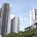 분당-315 이미지