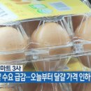 티마트 이미지