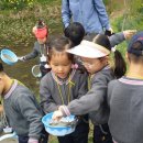 회남초교 병설유치원 이미지