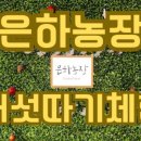 은하농장 이미지