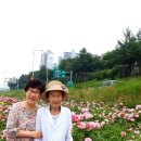 일상 이미지