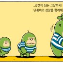 단콩