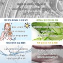 테라오토 이미지