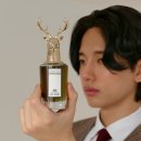 암브로드