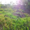 은행목장 이미지