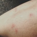 이중화의원 이미지