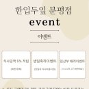 한입두잎 분평점
