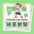 중학교 3학년 2학기 과학 수행평가 대비 &lt;세포분열 과정&gt;