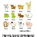 7월19일 일요일 이미지