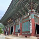 한우마을목장2 이미지