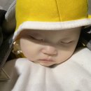 멍멍까까 이미지