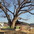산유장 네이버블로그