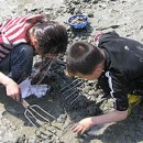 하전농장 이미지