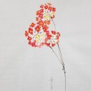 제이드 골프클럽 이미지