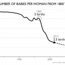 직선본능 이미지