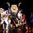 캣츠하우스 이미지