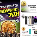 금계찜닭 이미지