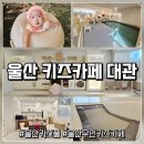 워시프레쉬 더150무인카페 | 울산 무인 키즈카페 대관 꾸니러비 북구 키즈풀 아기랑 공간 대여 내돈내산 추천