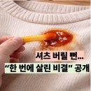 대신세탁소 | 다들 세탁소 대신 마이비 얼룩제거제 쓰는 이유?
