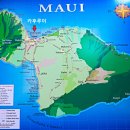 ▣ 하와이 마우이섬투어(1편) 이미지