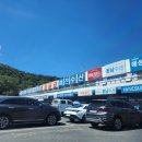 르노삼성자동차서비스코너 매천점 | 대구 매천시장 매천수산시장 영업시간 꽃게 홍게 대게 가격 시세