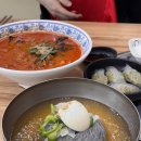 강릉 교동 터미널 근처 짬뽕 냉면 맛집 장면옥