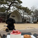 오늘제빵소 이미지