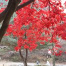 감악산주유소 이미지